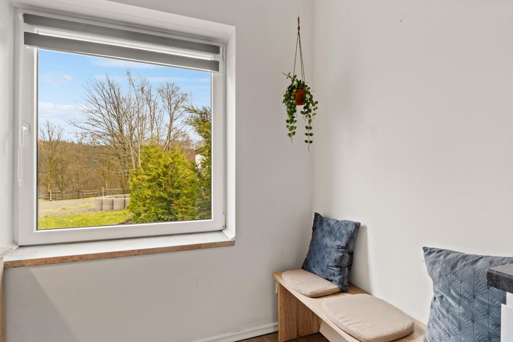 Greenhouse Living Apartment Fagus Mit Terrasse Und Feuerstelle - 6 Minuten Nach Winterberg - 4 Minuten Zur Ruhrquelle - Wandern - Mountainbike Fahren - Reisen Mit Hund & Natur Geniessen Medebach Exterior foto